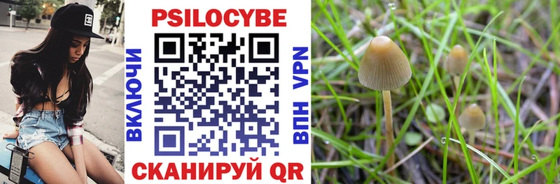 купить наркотики сайты Серов Псилоцибиновые грибы Magic Shrooms