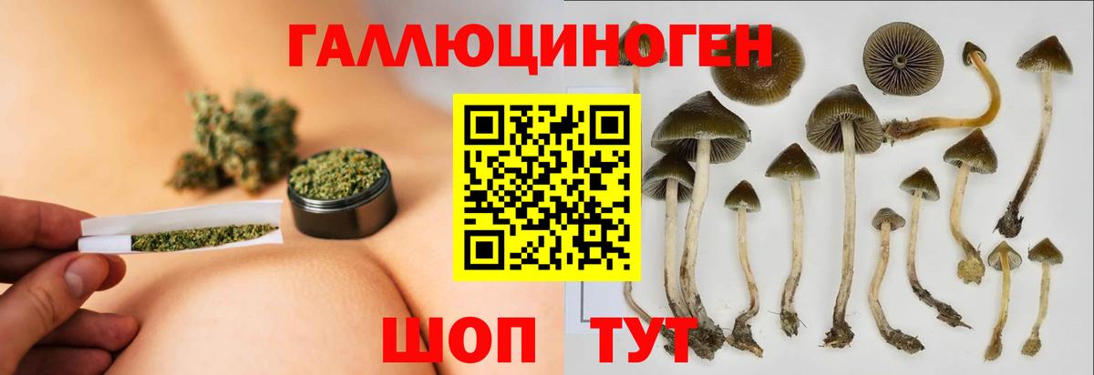 Псилоцибиновые грибы MAGIC MUSHROOMS  Псилоцибиновые грибы Magic Shrooms  Вход с VPN  Серов 